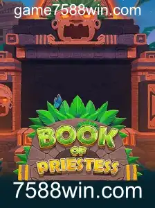 Descubra o Mundo de 'BookOfPriestess': Um Guia Completo